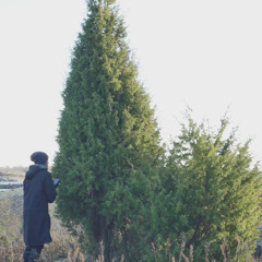 Harakan katajan kanssa-11