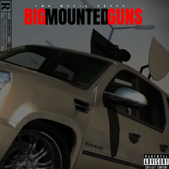 Big Mounted Guns (radio edit)