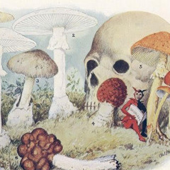 ShroomLife (Prod. Ill Instrumentals)