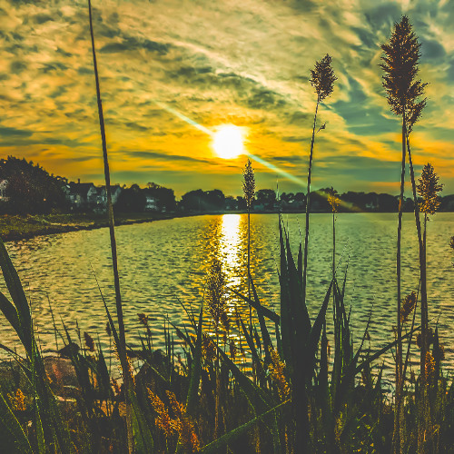 Achromatic Residue -|- Solstice Soul Spectrum || Birthday Beat 2K25 | Music Video