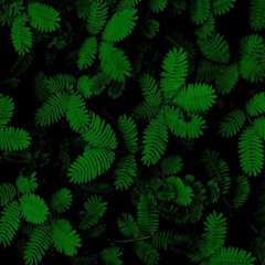 Zooom - Subway