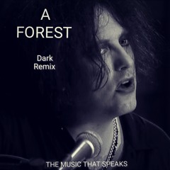 A FOREST - DARK REMIX REC-2025-11-22