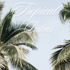 TROPICAL PALMS