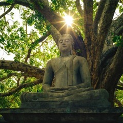 Abhyanga