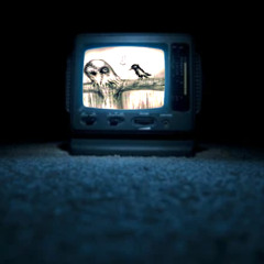 The Screen