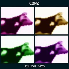 Polish Cow Inc. (Feel good Inc. Mashup)