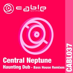 Haunting Dub - Bass House Mix
