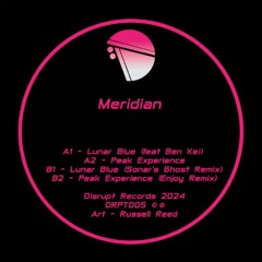 DRPT005 - Meridian - Peak Experience