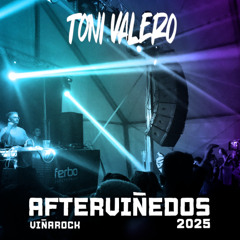 AFTERVIÑEDOS 2025 @VIÑAROCK || TONI VALERO