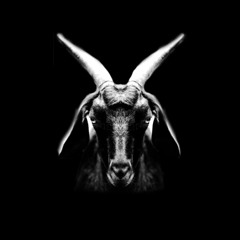 I Don't Care  (feat. Young Crab)