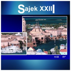 Polo In The Palisades