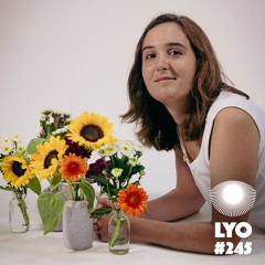 LYO#245 / MLF
