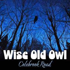 Wise Old Owl