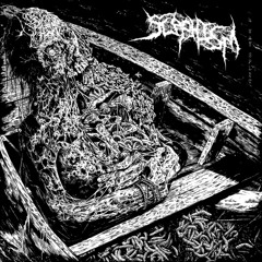 True Brutal Death Metal - 2