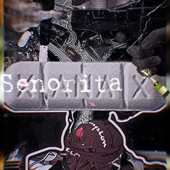 Senorita ft: Rebrxntheartist