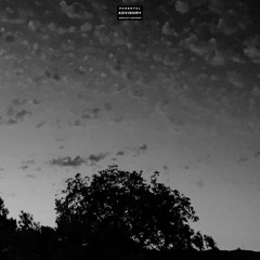 IForgotYourVoice (Snippet) (prod. hills)