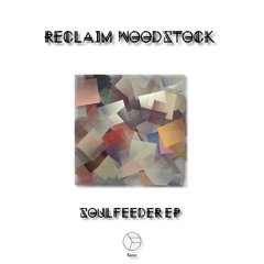 04 - Reinier Zonneveld - Undertone (Reclaim Woodstocks Radius Remix)