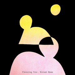 Dripping Rain (from Flowering Tree, Distant Moon. Coming out on April 30, Not Not Fun Records)