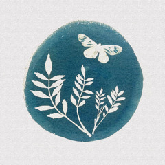 patiens quia aeternus