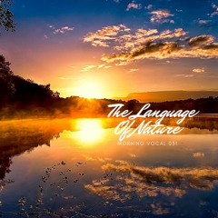 KrasimirovDJ - Morning Vocal 031 (The Language Of Nature)