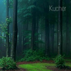 Kucher - December 2020 Mix