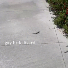 gay little lizard