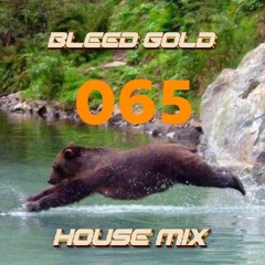 Bleed Gold - House mix 065