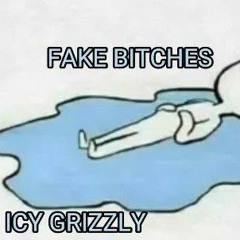 Icy Grizzly - FAKE BITCHES (unmastered)