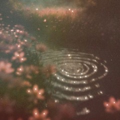 Lough Talt - New Years Eve 2026