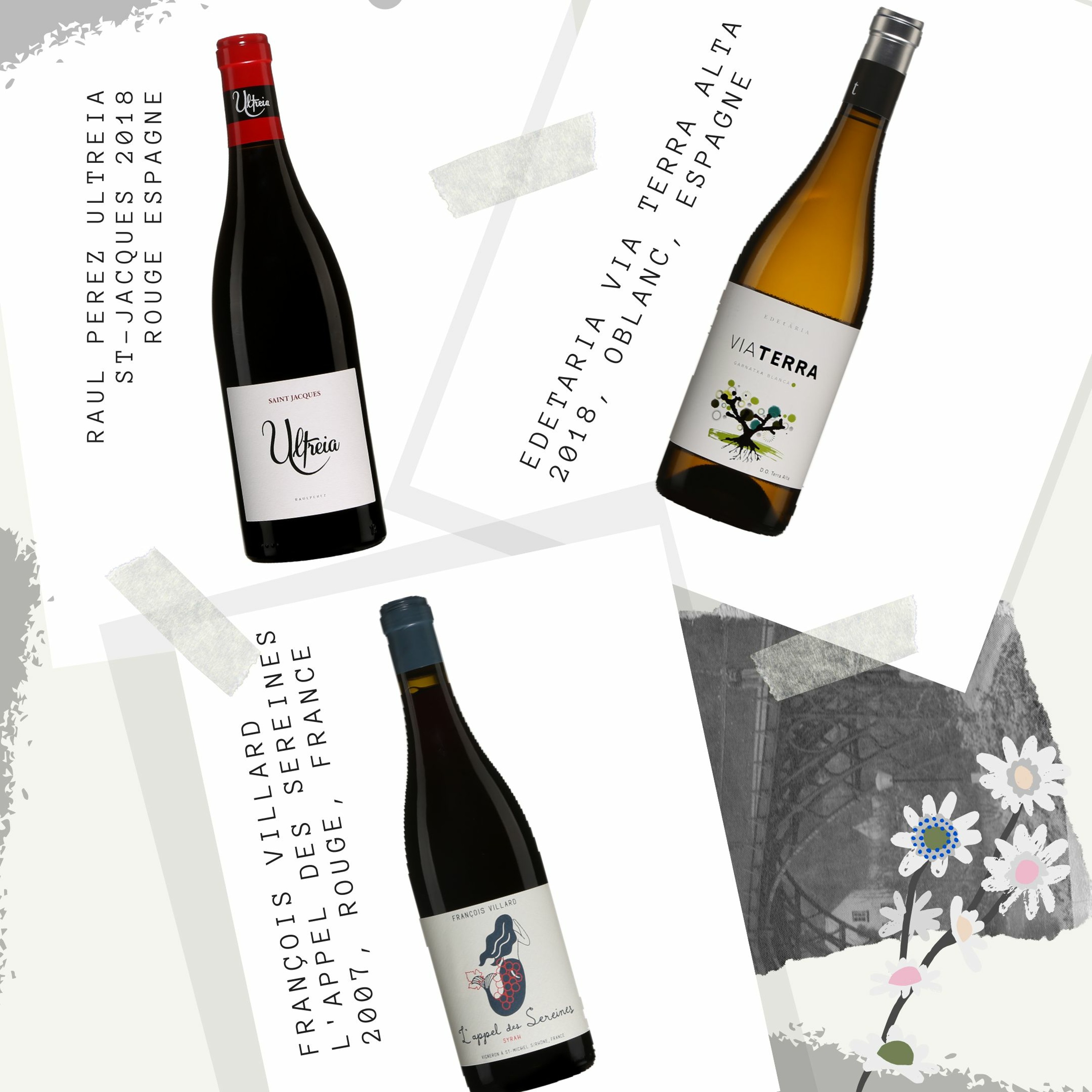 VINS | Une sélection de vins de producteurs renommés en Espagne et en France episode artwork