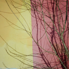 DISTANTCAUSE - The Weather