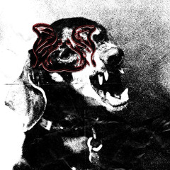 Trippin dogs