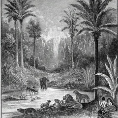 In the Sweet By and By (Public Domain)