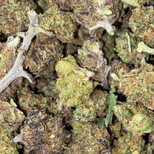 project 420