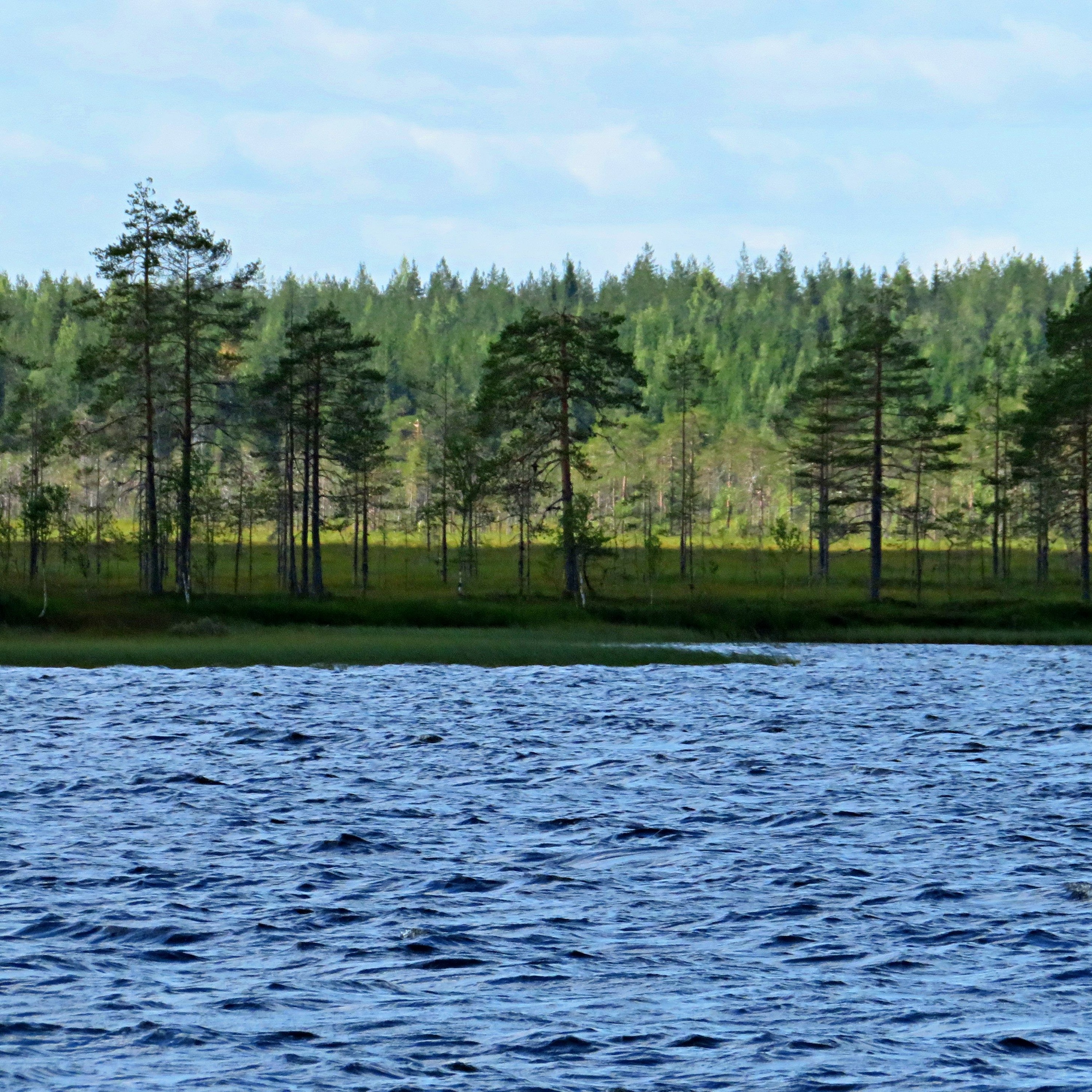 Jukka Kokkonen