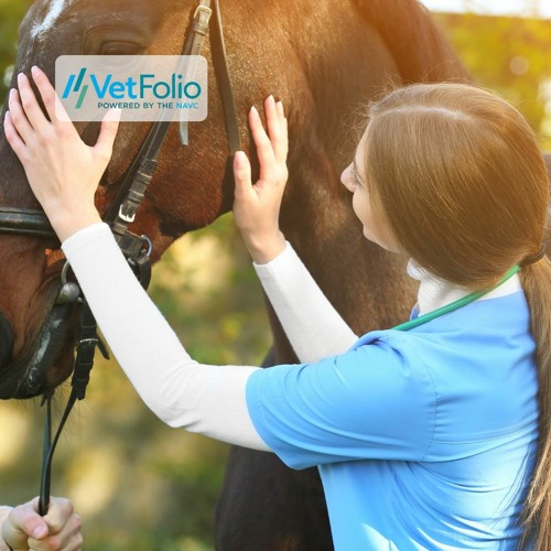 Stream episode Great and Small A Day in the Life of a Mixed Animal