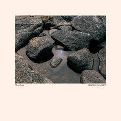 When the Moon falls into the water