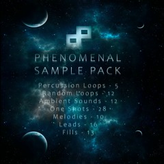Phenomenal - 1K Sample Pack *FREE DOWNLOAD*