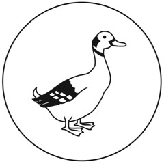 Ducktales @ Sisyphos Strand b2b Dan Buri