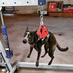 hanging with my house friend