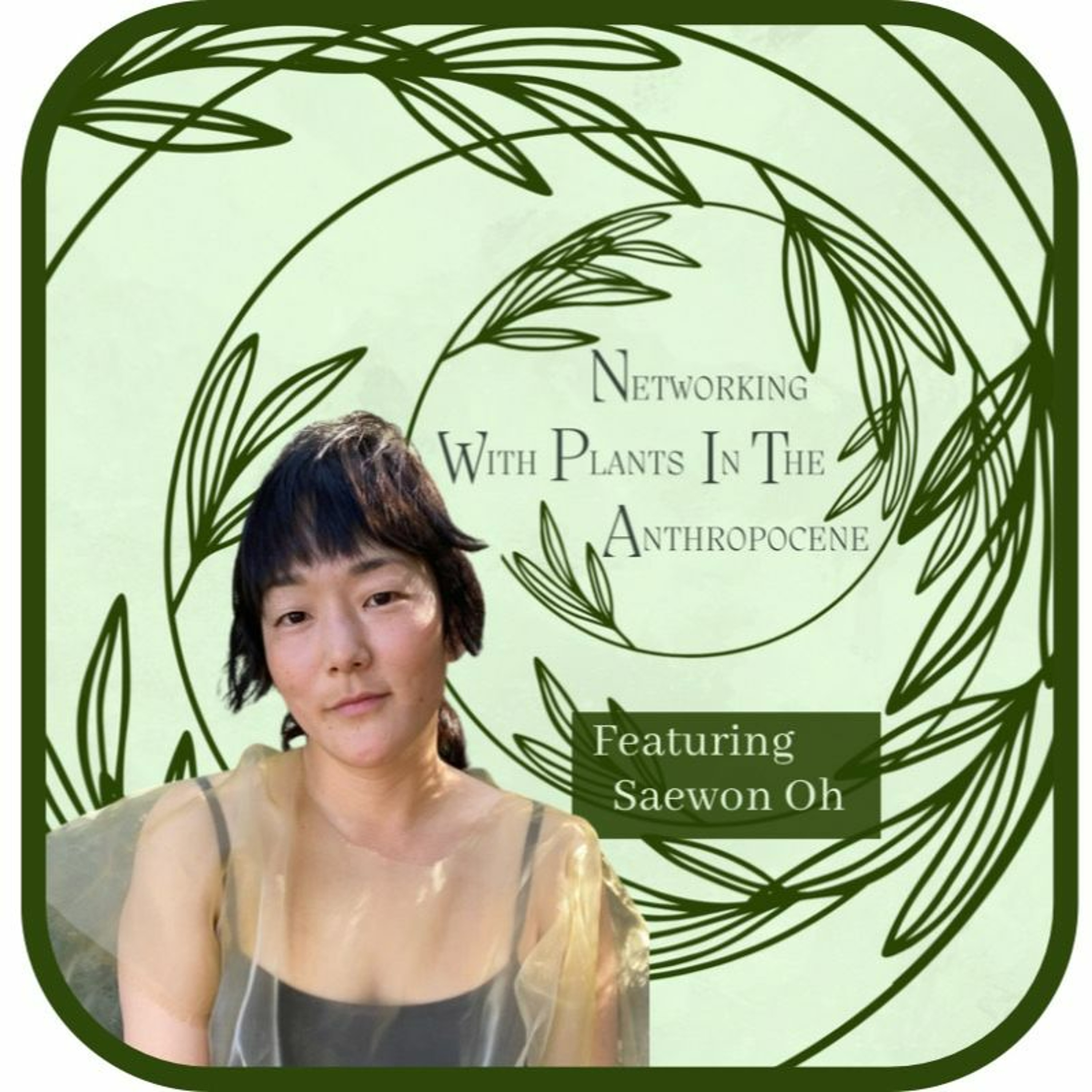 Podcast Networking with Plants in the Anthropocene
