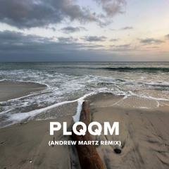 FEID - PLQQM (ANDREW MARTZ REMIX)