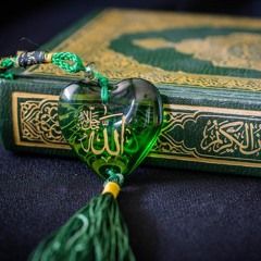 Most Beautiful & Soothing Recitation of Quran Surah Tawbah by Qari Sherif Mostafa (Sharif Mustafa)