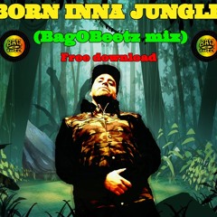 Born Inna Jungle (BagOBeetz Mix) Free Download