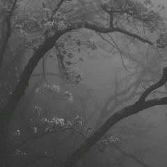 disillusioned prod. gusuck