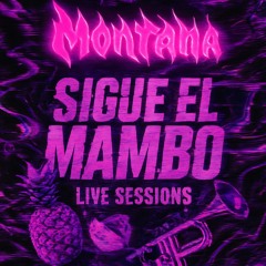 SIGUE EL MAMBO VOL1 (MOTNANA DJ) Mini set 🤼‍♂️💯!