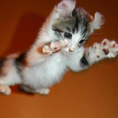 silly town - trap remix