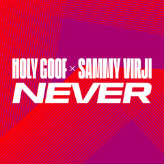 Never (with Sammy Virji)