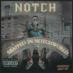 Trapped In Notchworld