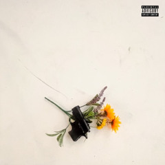 Glocks and Tulips - Earlee Riser